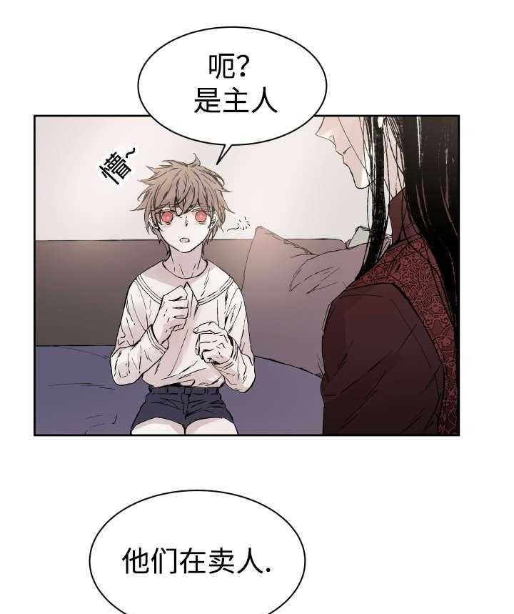 《巫师与狼》漫画最新章节第34话 34_刀免费下拉式在线观看章节第【33】张图片