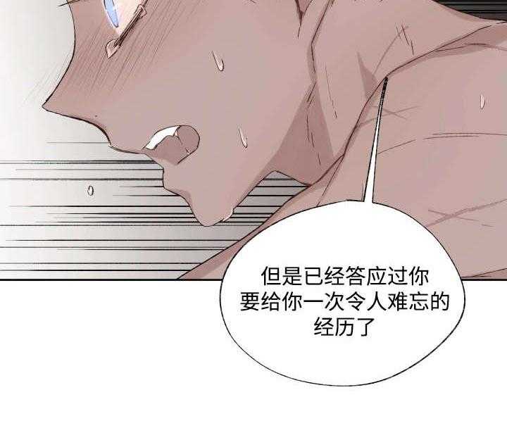 《巫师与狼》漫画最新章节第37话 37_充分证明免费下拉式在线观看章节第【19】张图片