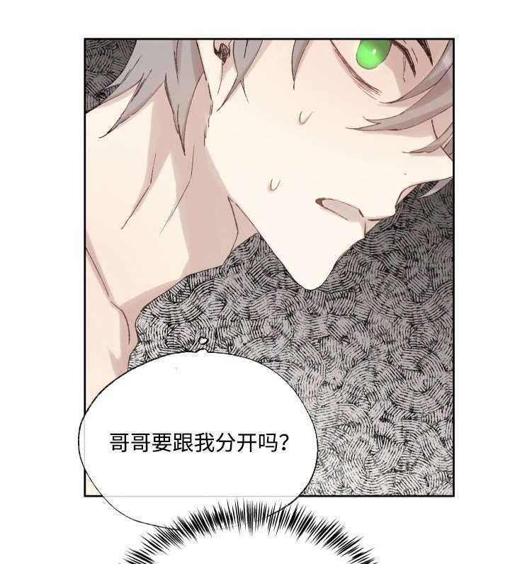 《巫师与狼》漫画最新章节第38话 38_捅刀子免费下拉式在线观看章节第【22】张图片