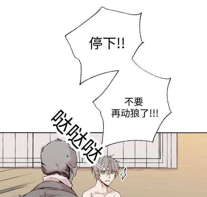 《巫师与狼》漫画最新章节第39话 39_消失掉吧免费下拉式在线观看章节第【32】张图片