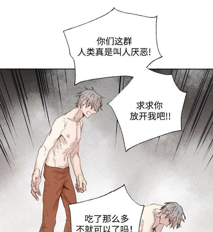 《巫师与狼》漫画最新章节第39话 39_消失掉吧免费下拉式在线观看章节第【6】张图片