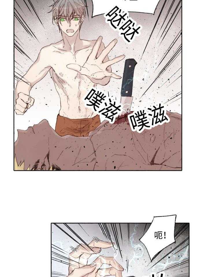 《巫师与狼》漫画最新章节第39话 39_消失掉吧免费下拉式在线观看章节第【15】张图片