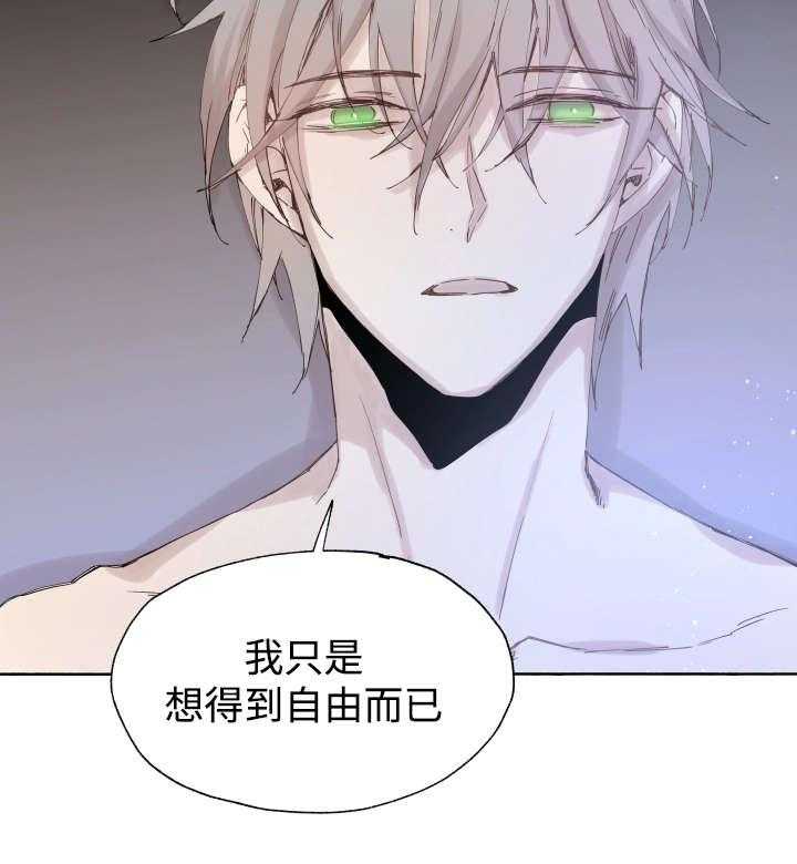 《巫师与狼》漫画最新章节第41话 41_为什么会这样免费下拉式在线观看章节第【1】张图片