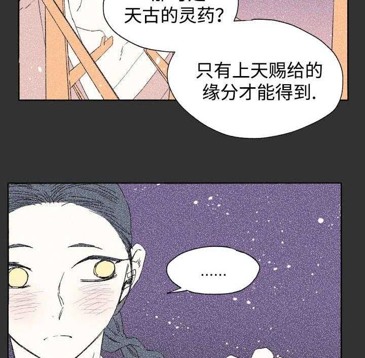 《巫师与狼》漫画最新章节第42话 42_不该免费下拉式在线观看章节第【13】张图片