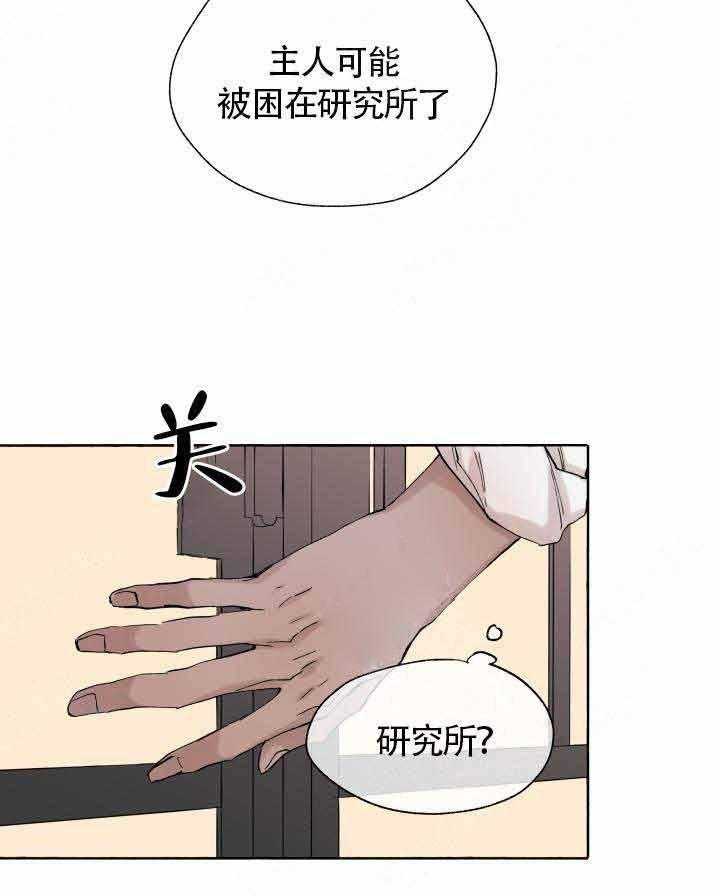 《巫师与狼》漫画最新章节第47话 47_ 回家免费下拉式在线观看章节第【15】张图片