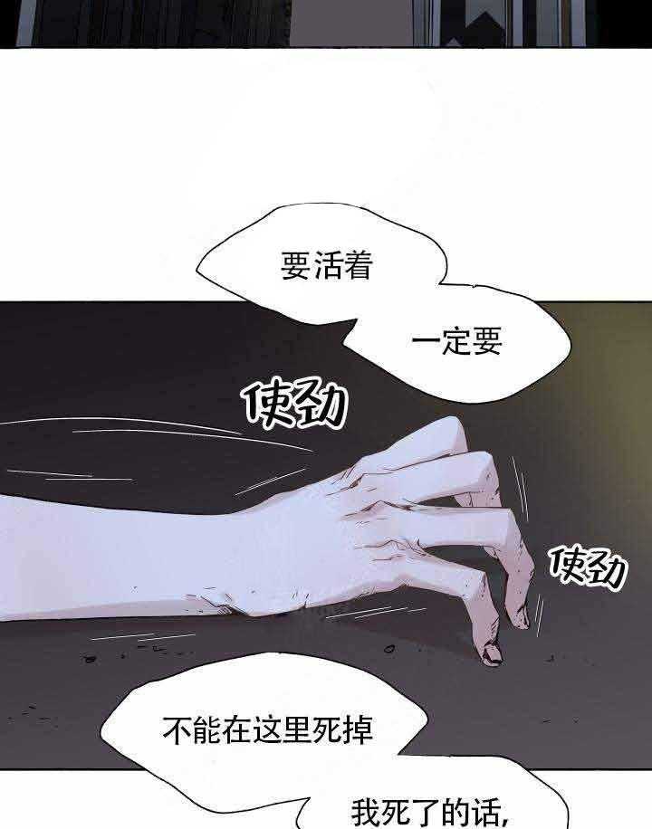 《巫师与狼》漫画最新章节第47话 47_ 回家免费下拉式在线观看章节第【33】张图片