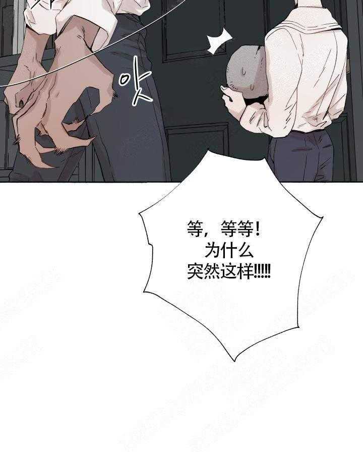 《巫师与狼》漫画最新章节第47话 47_ 回家免费下拉式在线观看章节第【3】张图片