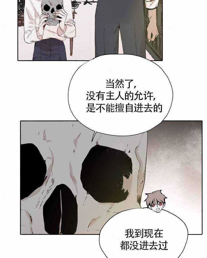 《巫师与狼》漫画最新章节第47话 47_ 回家免费下拉式在线观看章节第【7】张图片