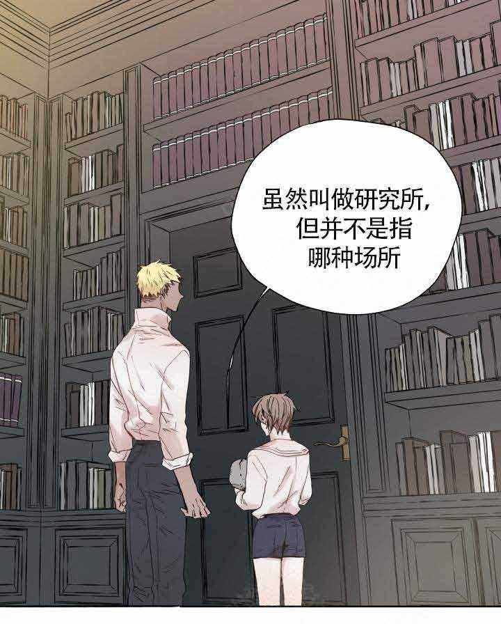 《巫师与狼》漫画最新章节第47话 47_ 回家免费下拉式在线观看章节第【11】张图片