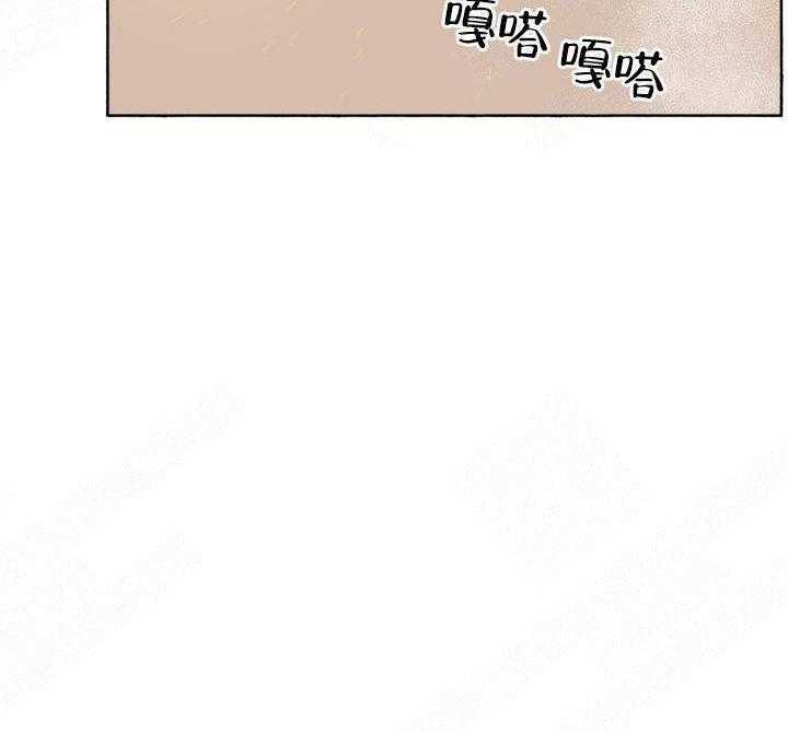 《巫师与狼》漫画最新章节第47话 47_ 回家免费下拉式在线观看章节第【19】张图片