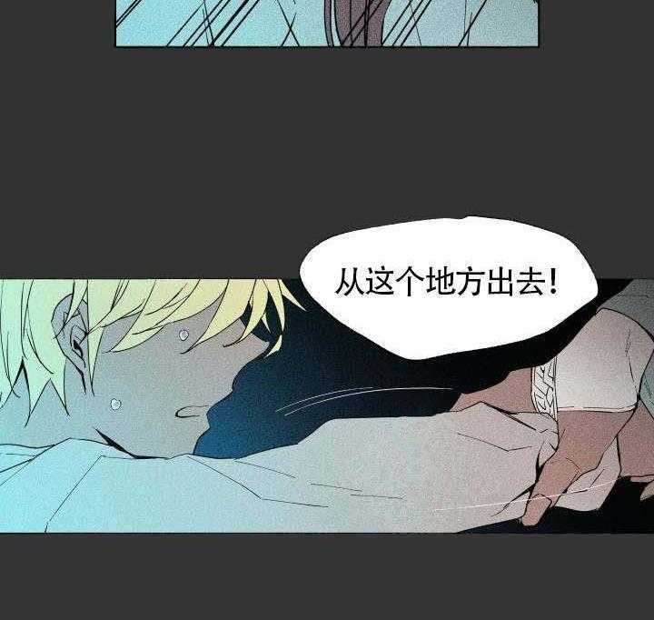 《巫师与狼》漫画最新章节第57话 57_ 复原免费下拉式在线观看章节第【5】张图片