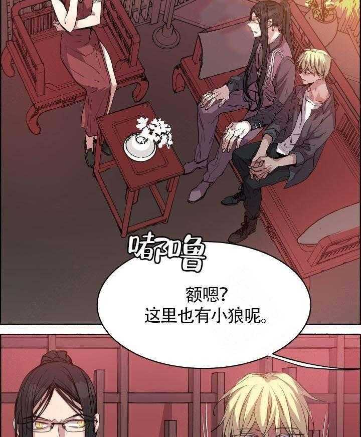 《巫师与狼》漫画最新章节第67话 67_ 你的身体免费下拉式在线观看章节第【16】张图片