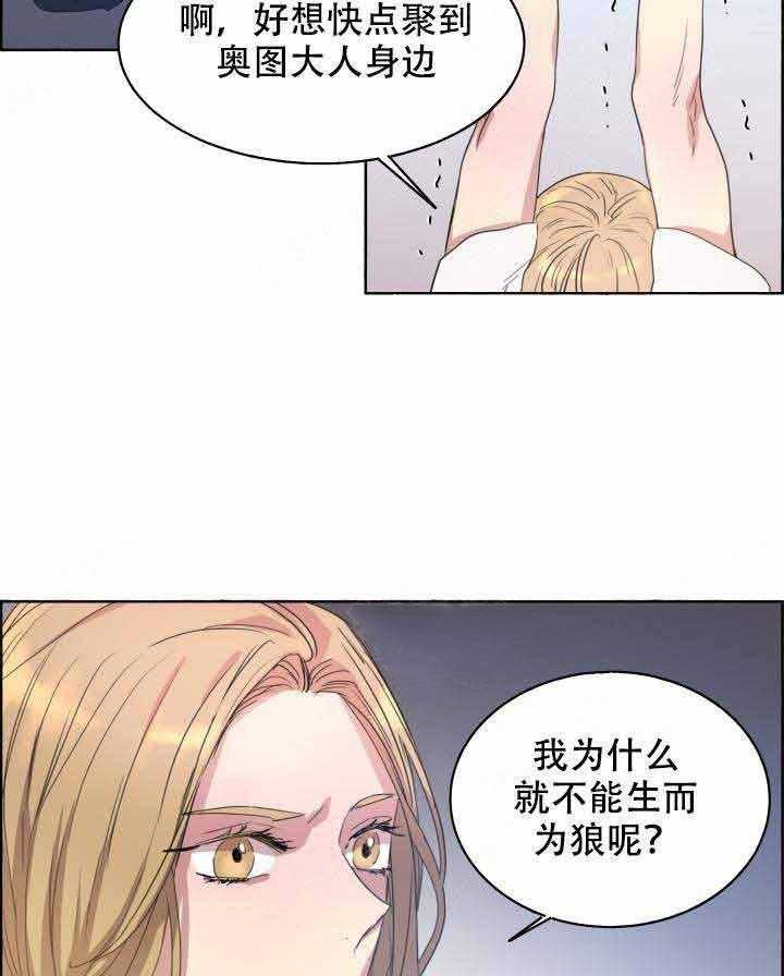 《巫师与狼》漫画最新章节第83话 83_下手免费下拉式在线观看章节第【16】张图片