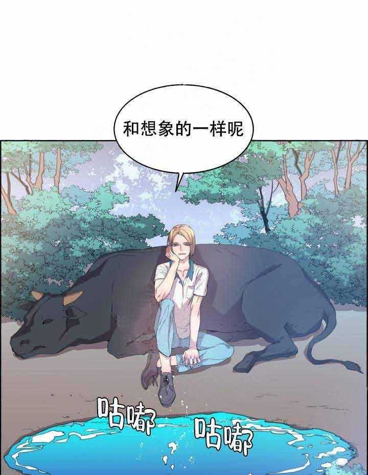 《巫师与狼》漫画最新章节第83话 83_下手免费下拉式在线观看章节第【24】张图片