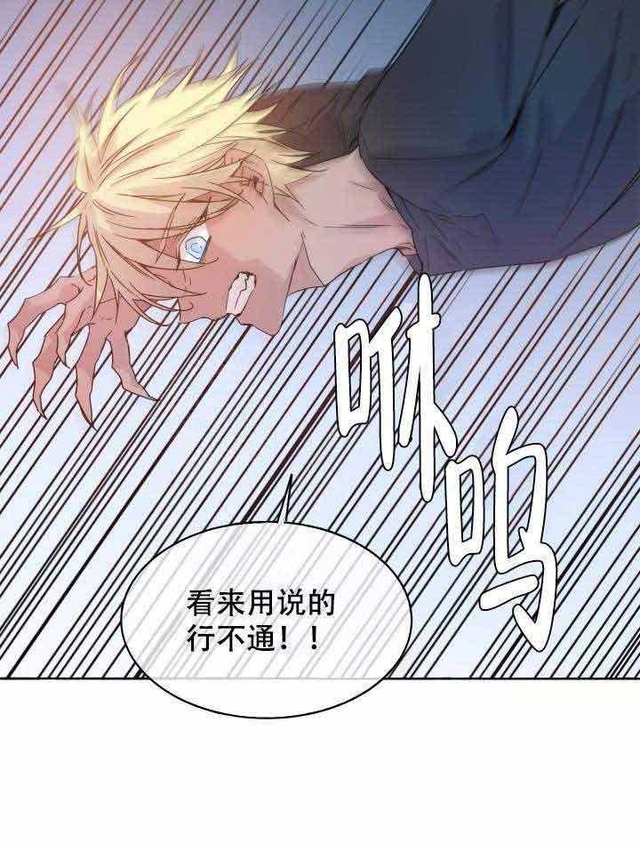 《巫师与狼》漫画最新章节第88话 88_杀了他免费下拉式在线观看章节第【34】张图片