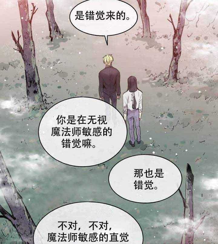 《巫师与狼》漫画最新章节第91话 91_婚礼免费下拉式在线观看章节第【13】张图片