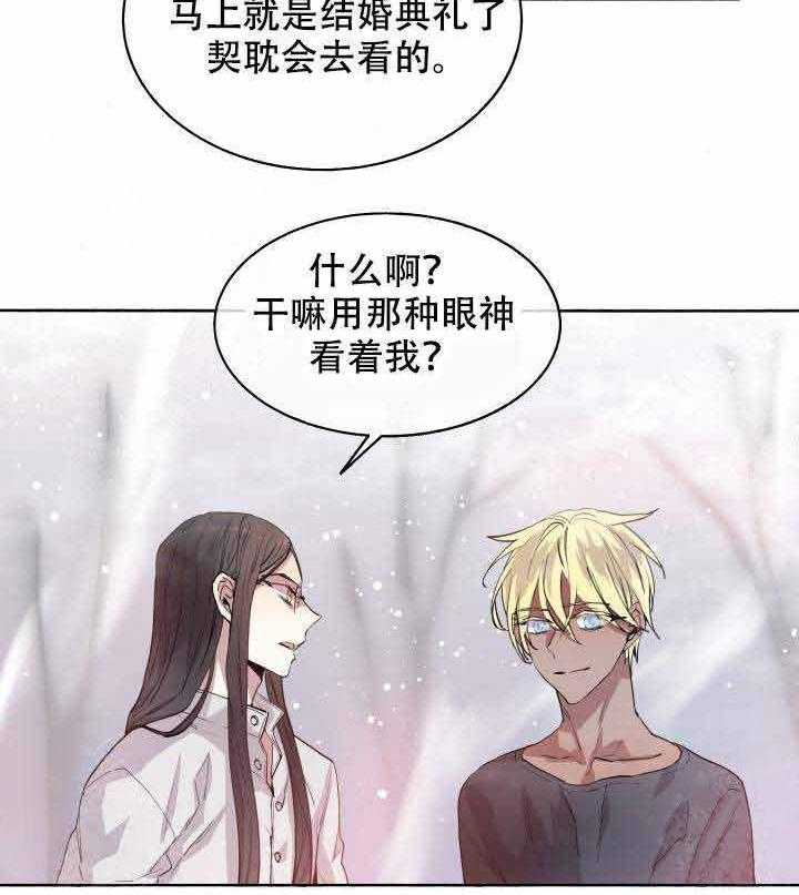 《巫师与狼》漫画最新章节第91话 91_婚礼免费下拉式在线观看章节第【16】张图片