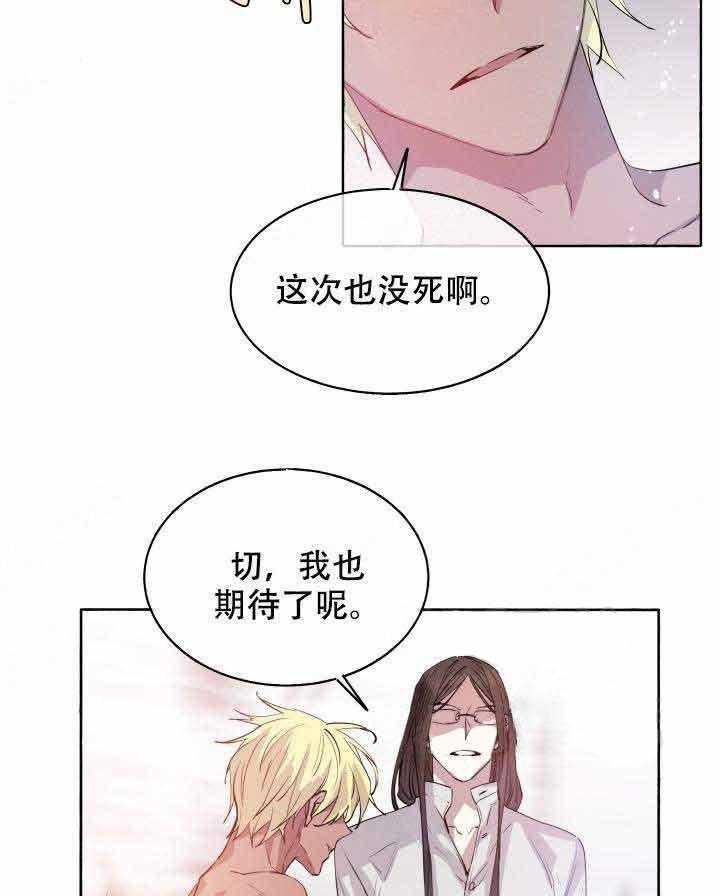 《巫师与狼》漫画最新章节第91话 91_婚礼免费下拉式在线观看章节第【31】张图片