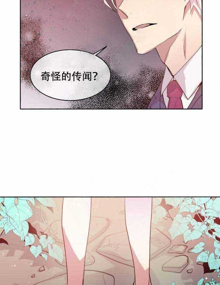 《巫师与狼》漫画最新章节第92话 92_传闻免费下拉式在线观看章节第【33】张图片