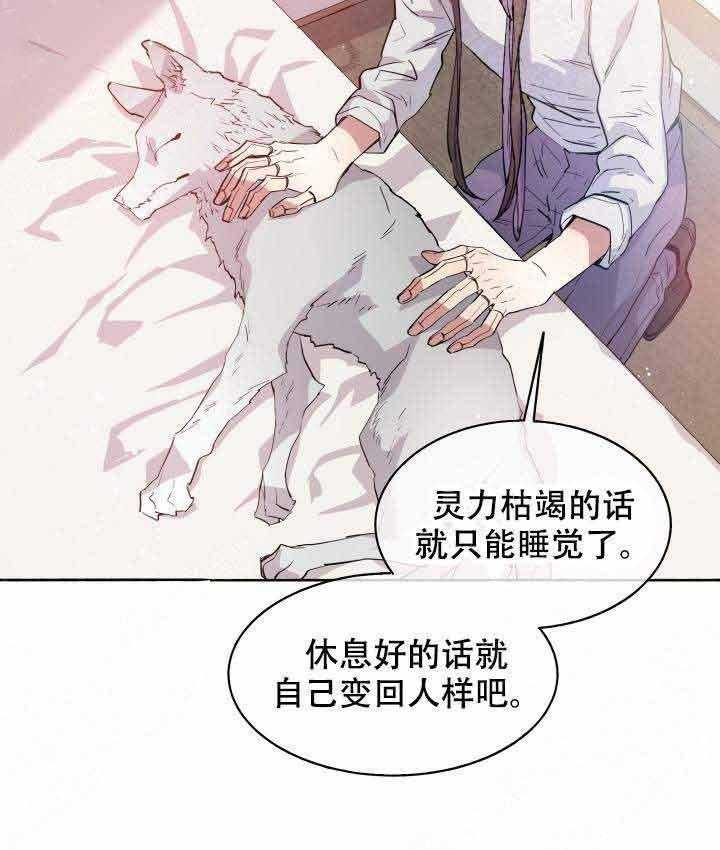 《巫师与狼》漫画最新章节第93话 93_半妖免费下拉式在线观看章节第【3】张图片