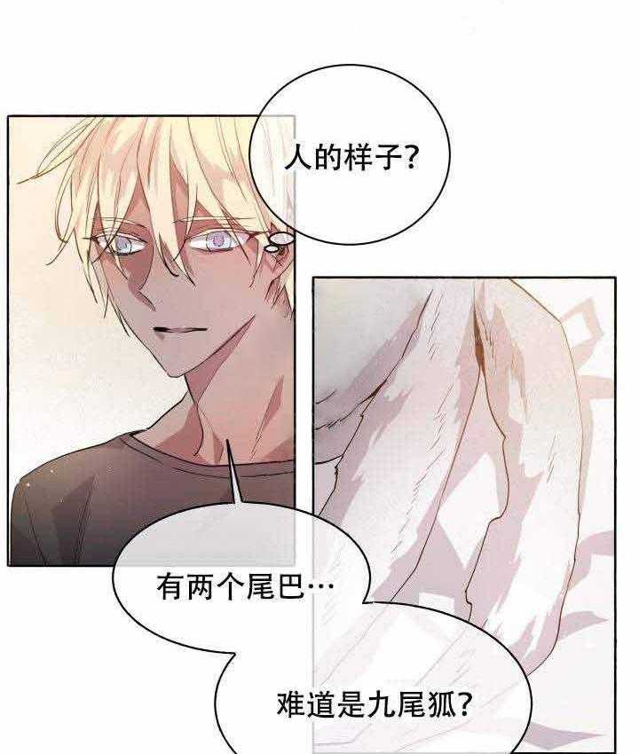 《巫师与狼》漫画最新章节第93话 93_半妖免费下拉式在线观看章节第【2】张图片