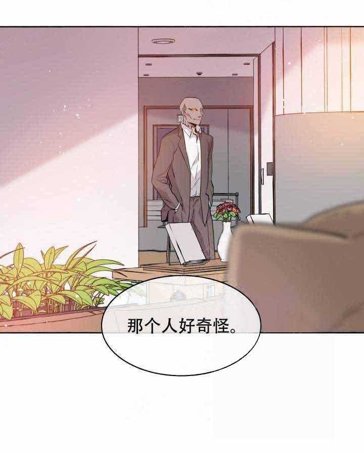 《巫师与狼》漫画最新章节第94话 94_浪漫免费下拉式在线观看章节第【4】张图片