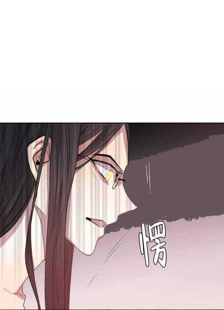 《巫师与狼》漫画最新章节第95话 95_天助我也免费下拉式在线观看章节第【12】张图片