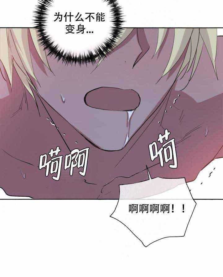 《巫师与狼》漫画最新章节第95话 95_天助我也免费下拉式在线观看章节第【6】张图片