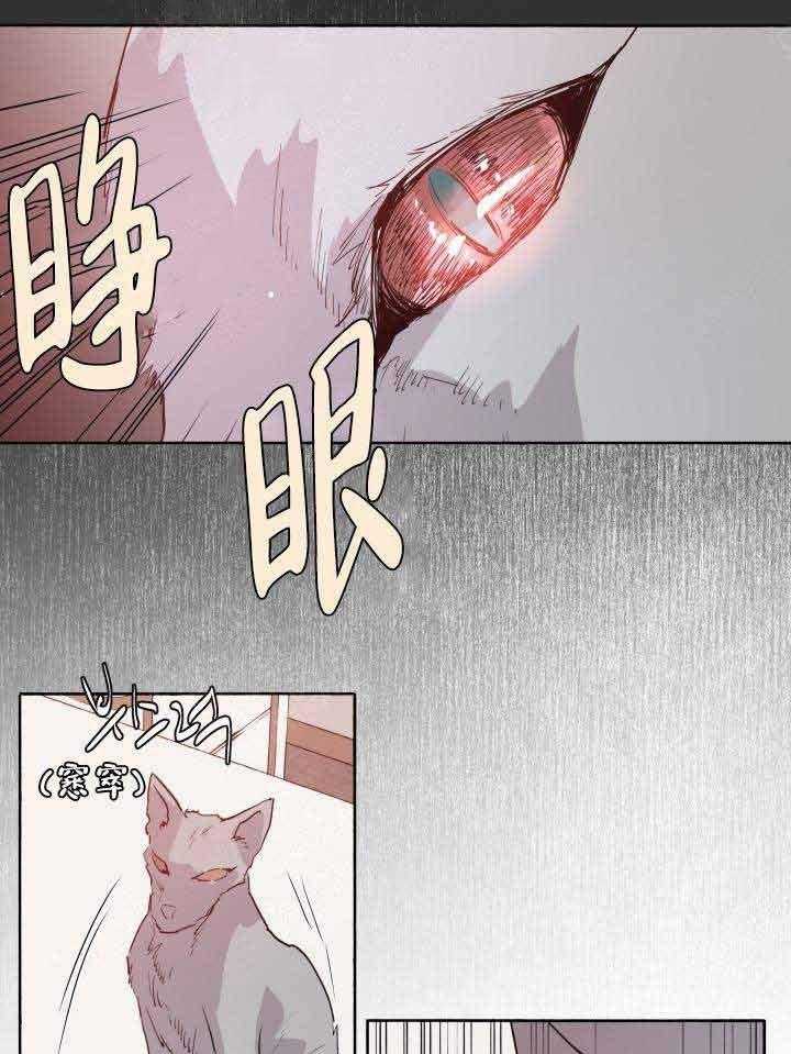 《巫师与狼》漫画最新章节第96话 96_拆穿免费下拉式在线观看章节第【27】张图片