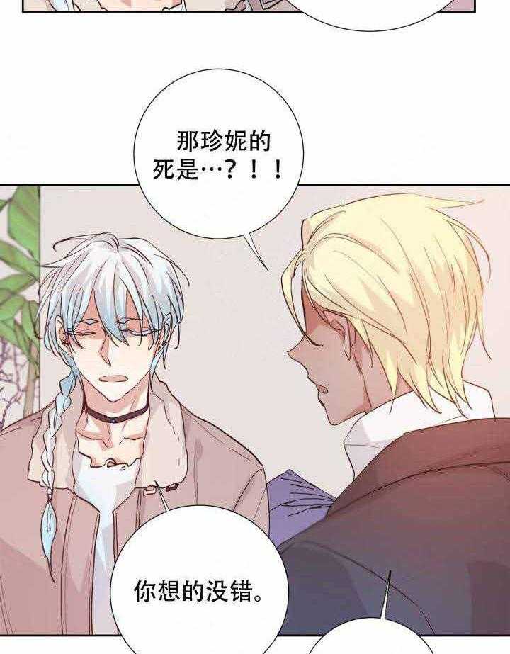 《巫师与狼》漫画最新章节第102话 102_遗物免费下拉式在线观看章节第【33】张图片