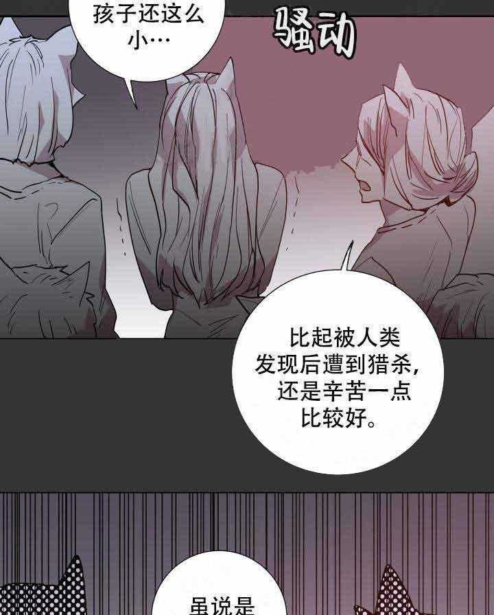 《巫师与狼》漫画最新章节第104话 104_只有你免费下拉式在线观看章节第【15】张图片