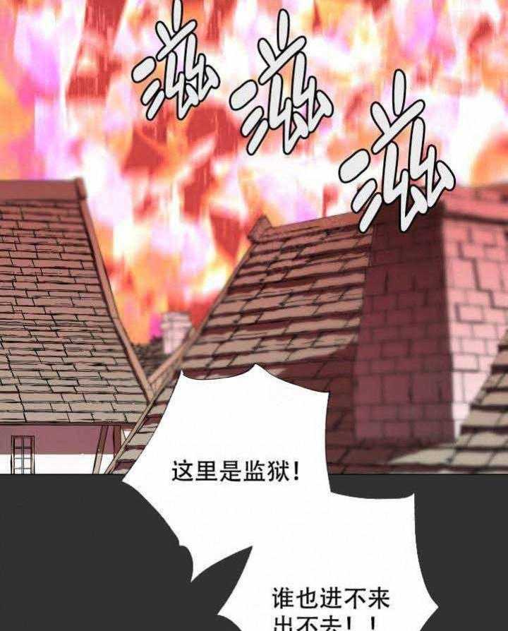 《巫师与狼》漫画最新章节第108话 108_阴谋免费下拉式在线观看章节第【23】张图片