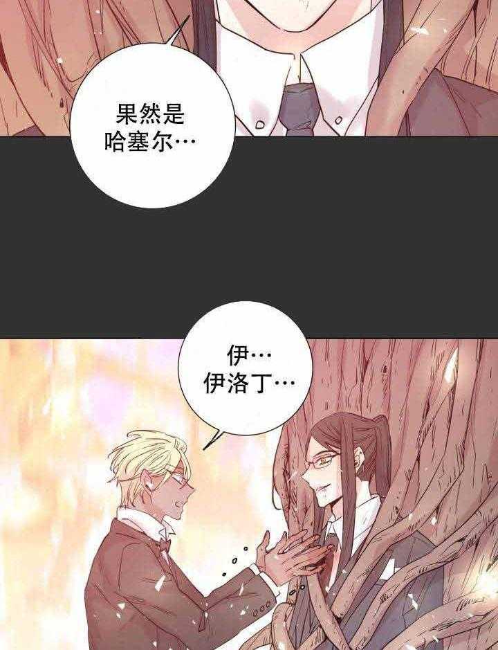 《巫师与狼》漫画最新章节第108话 108_阴谋免费下拉式在线观看章节第【10】张图片