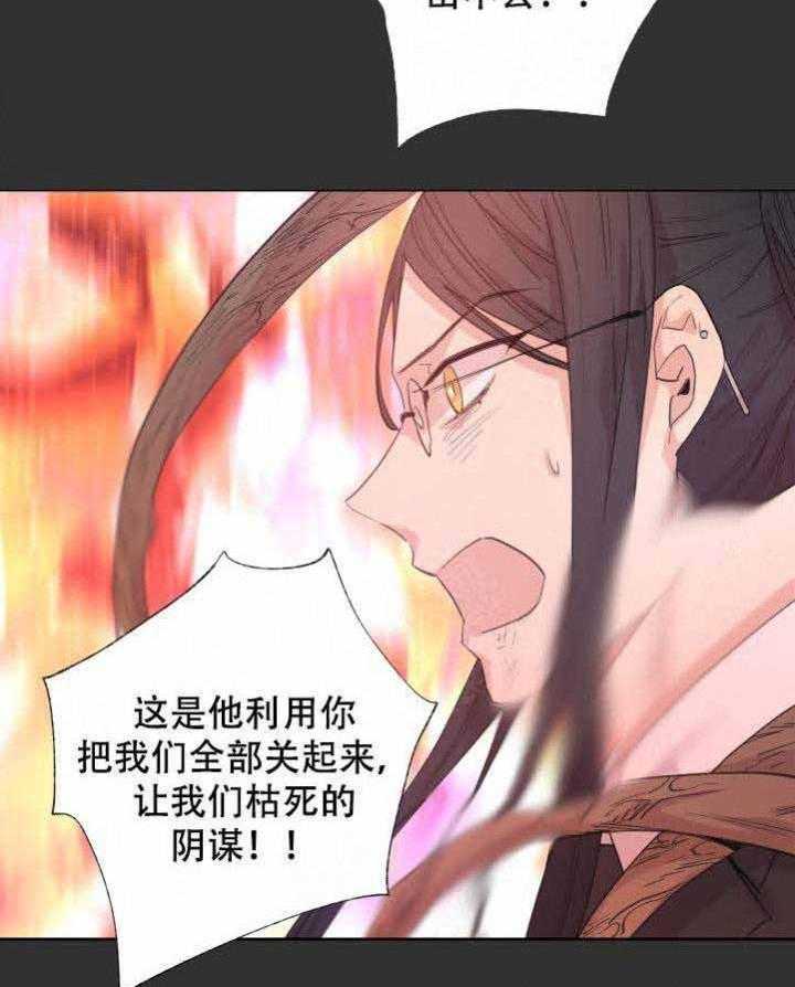 《巫师与狼》漫画最新章节第108话 108_阴谋免费下拉式在线观看章节第【22】张图片