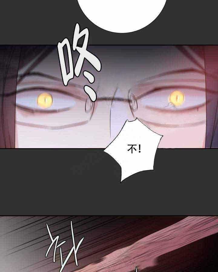 《巫师与狼》漫画最新章节第108话 108_阴谋免费下拉式在线观看章节第【29】张图片