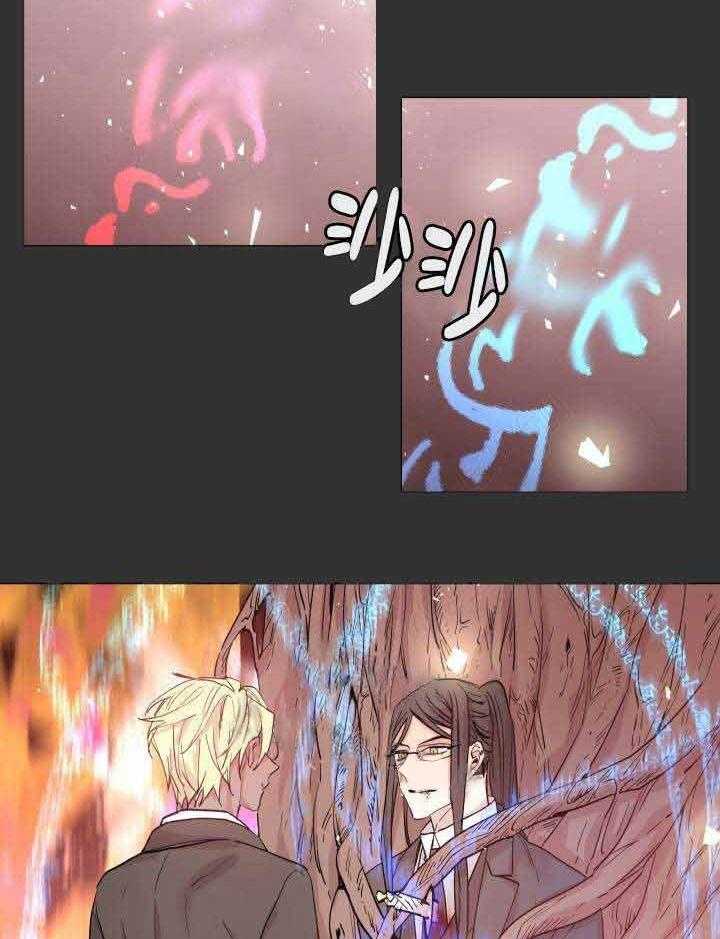 《巫师与狼》漫画最新章节第108话 108_阴谋免费下拉式在线观看章节第【13】张图片