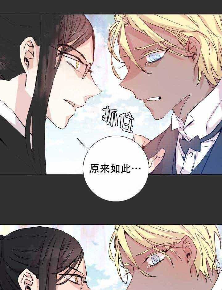 《巫师与狼》漫画最新章节第108话 108_阴谋免费下拉式在线观看章节第【39】张图片