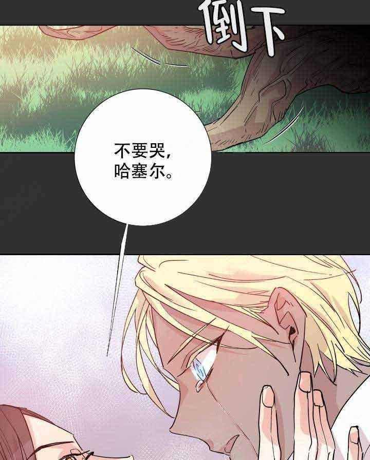 《巫师与狼》漫画最新章节第108话 108_阴谋免费下拉式在线观看章节第【32】张图片