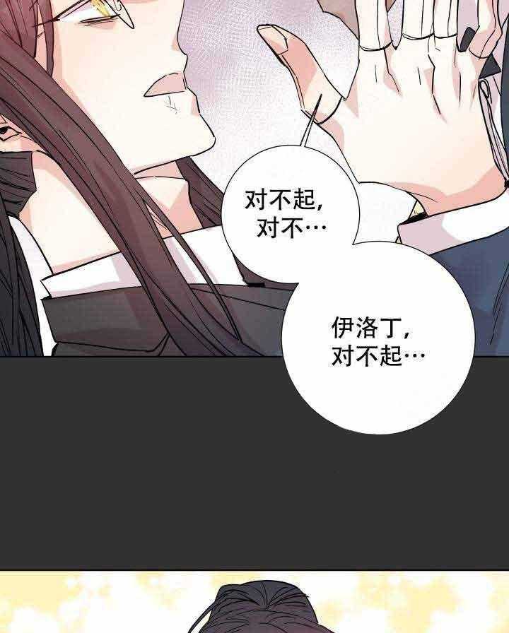 《巫师与狼》漫画最新章节第108话 108_阴谋免费下拉式在线观看章节第【31】张图片