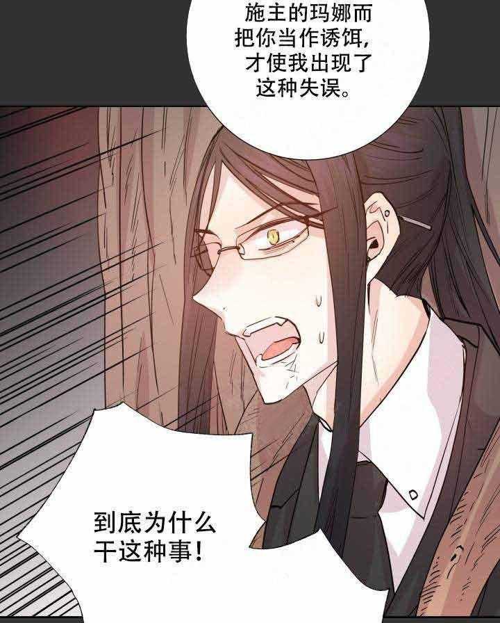 《巫师与狼》漫画最新章节第109话 109_灾害免费下拉式在线观看章节第【28】张图片