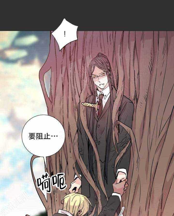 《巫师与狼》漫画最新章节第109话 109_灾害免费下拉式在线观看章节第【20】张图片