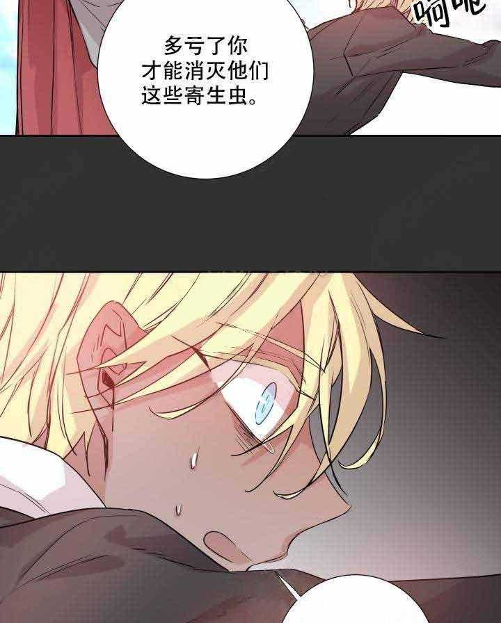 《巫师与狼》漫画最新章节第109话 109_灾害免费下拉式在线观看章节第【14】张图片