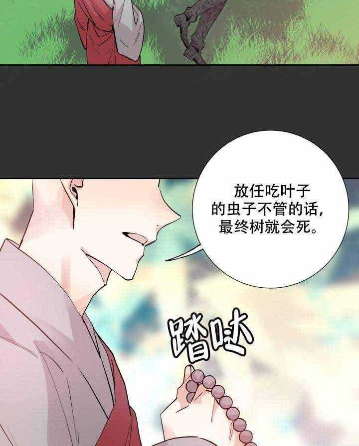 《巫师与狼》漫画最新章节第109话 109_灾害免费下拉式在线观看章节第【24】张图片