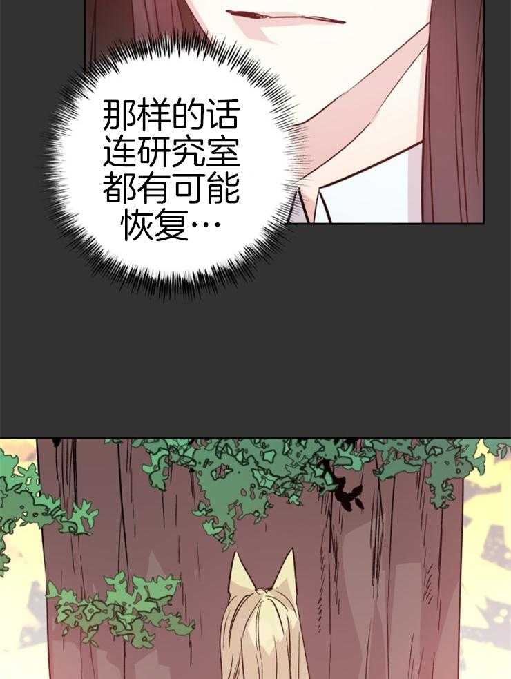 《巫师与狼》漫画最新章节第111话 要求免费下拉式在线观看章节第【28】张图片