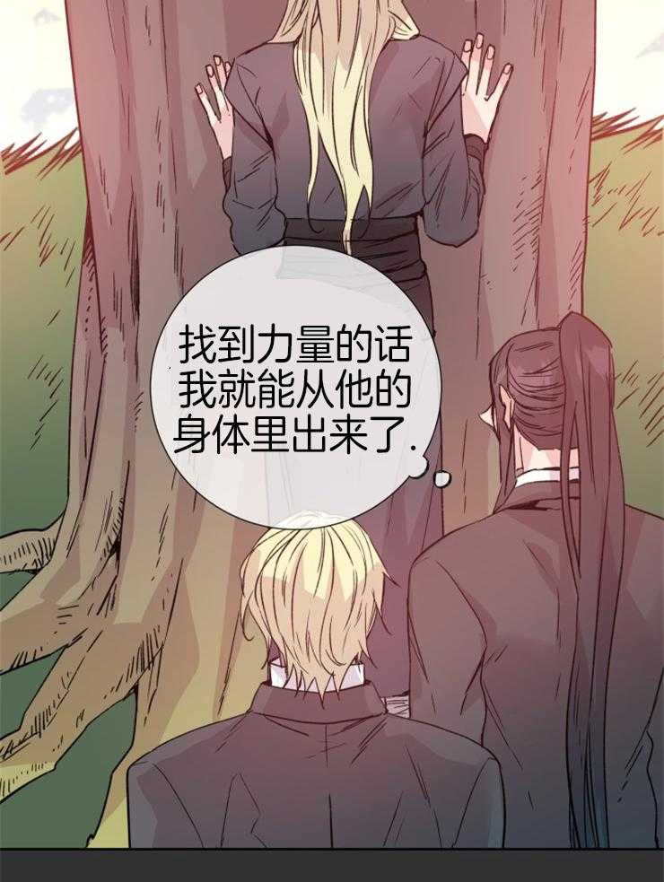 《巫师与狼》漫画最新章节第111话 要求免费下拉式在线观看章节第【27】张图片