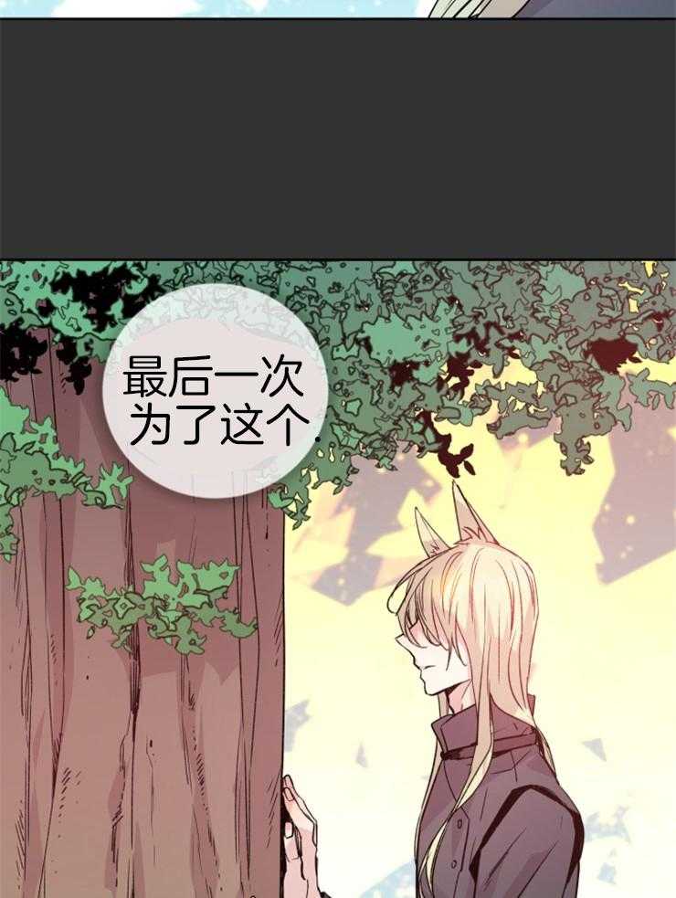 《巫师与狼》漫画最新章节第111话 要求免费下拉式在线观看章节第【31】张图片