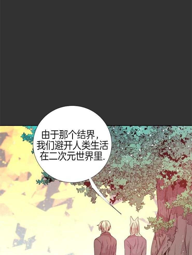 《巫师与狼》漫画最新章节第111话 要求免费下拉式在线观看章节第【49】张图片