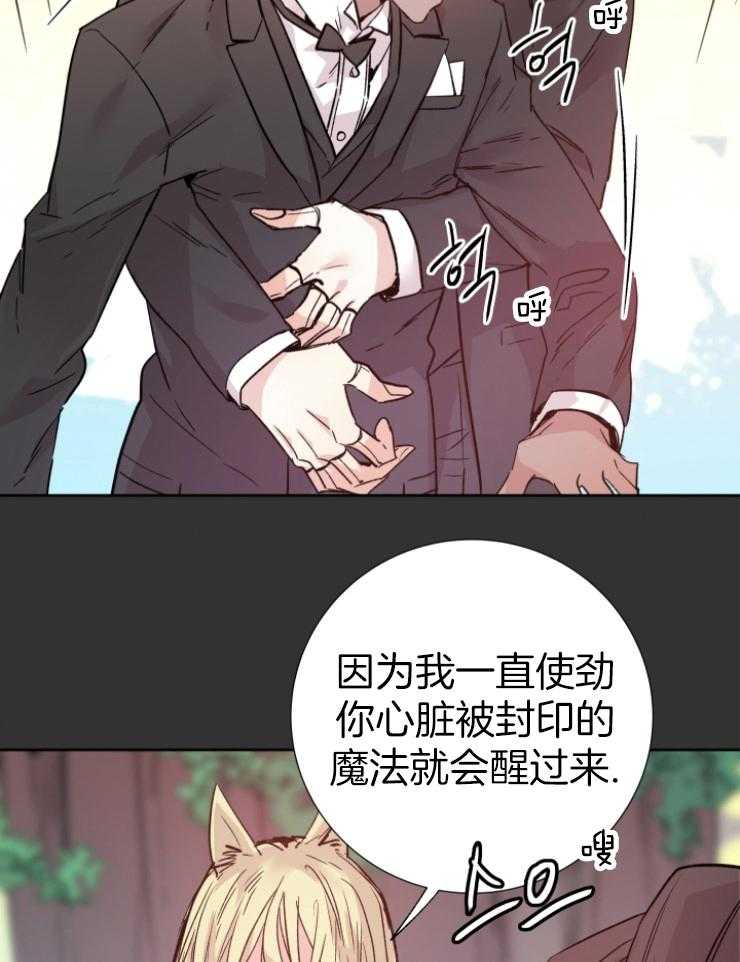 《巫师与狼》漫画最新章节第111话 要求免费下拉式在线观看章节第【20】张图片