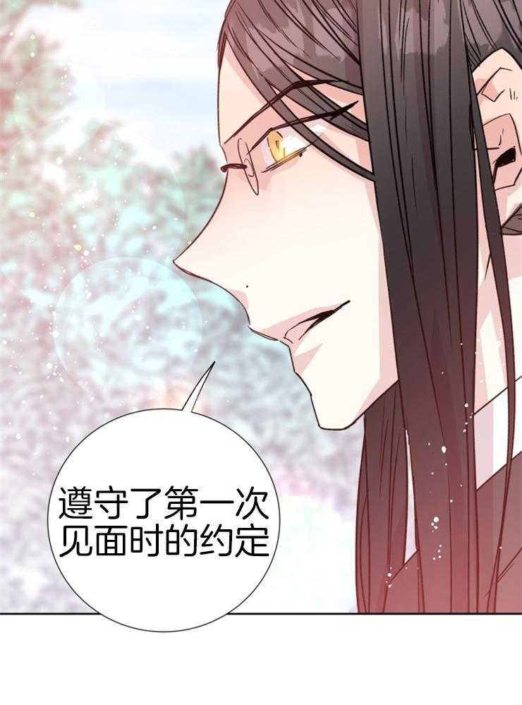 《巫师与狼》漫画最新章节第112话 枯木逢春免费下拉式在线观看章节第【11】张图片