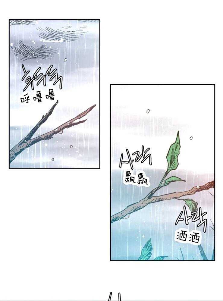 《巫师与狼》漫画最新章节第112话 枯木逢春免费下拉式在线观看章节第【22】张图片